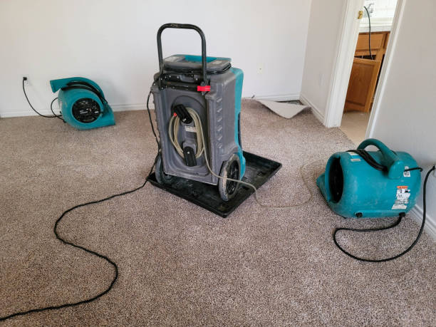  Auburn Hills, MI Water damage restoration Pros