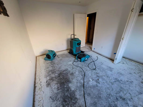 Best Flooded house restoration  in Auburn Hills, MI