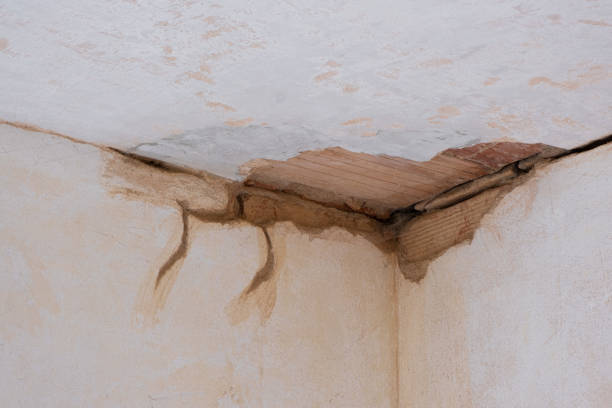 Best Local water damage restoration  in Auburn Hills, MI