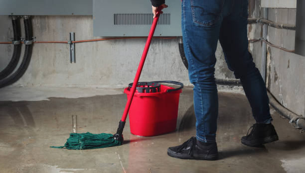 Best Professional water damage repair  in Auburn Hills, MI