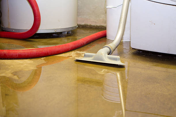 Best Commercial water damage restoration  in Auburn Hills, MI