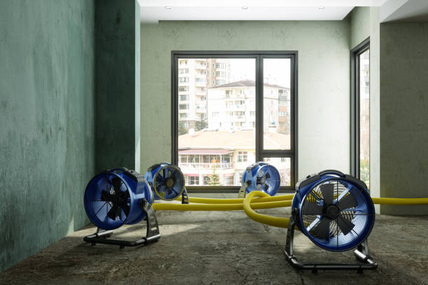 Best Mold removal after water damage  in Auburn Hills, MI