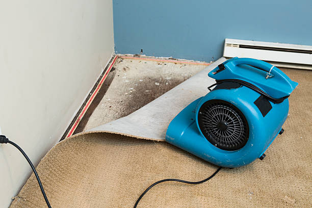 Best Water damage restoration services  in Auburn Hills, MI